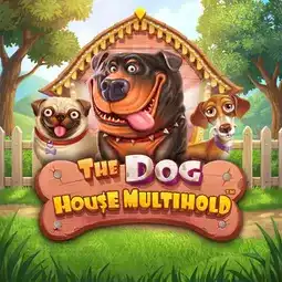 The Dog House Multihold game at 1Red Casino for Australian players